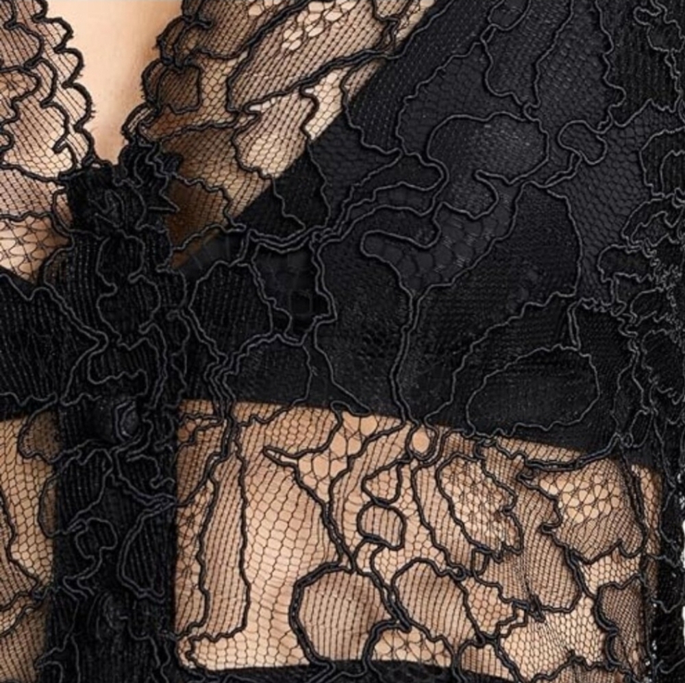 GANNI Light Floral Lace V-neck Sheer Peplum Top Black Blouse Ruffle 36 (US 4 S) - Picture 5 of 16